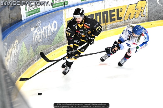 2024-11-23 Fassa Falcons-Mastini Varese 05594 Marcello Borghi